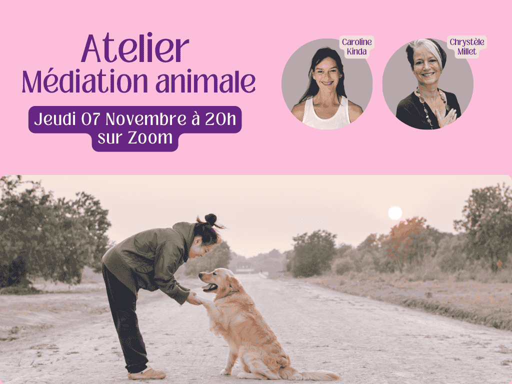 Atelier médiation animale