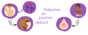 Schéma auto-palpation seins debout